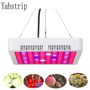 LED grow Light 300W 50W 45W Phyto Lamps Full Spectrum Grow lamps For indoor seedling tent Greenhouse flower fitolamp plant lamp