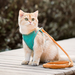 Cat Harness